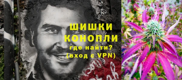 гашик Аркадак