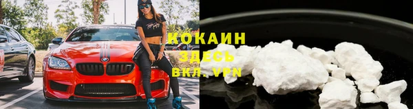 гашик Аркадак