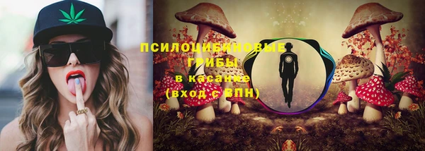 гашик Аркадак