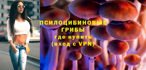 твердый Армянск