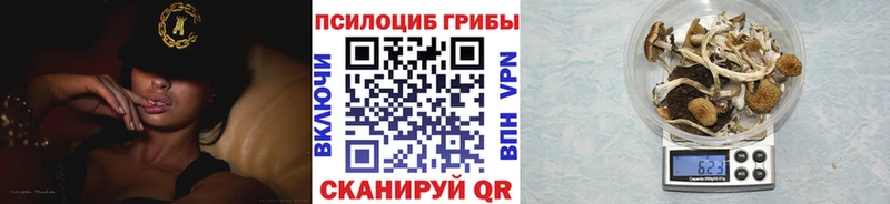 KRAKEN зеркало дарк нет как зайти Галлюциногенные грибы мухоморы Лыткарино